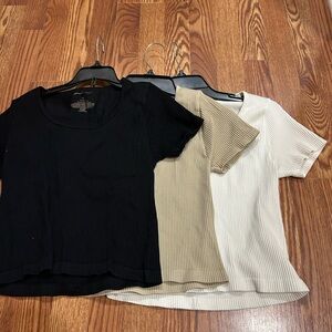 Pink Rose Ribbed Short Sleeve Tops - Black, Tan, White